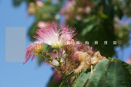 一个征信逾期购房贷款 一个征信逾期购房贷款