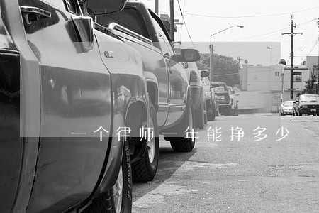 一个律师一年能挣多少