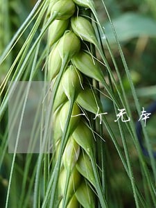 一个无本事的男人离婚 一个无本事的男人离婚