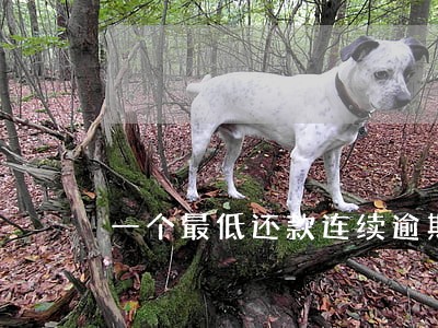 一个最低还款连续逾期90多天