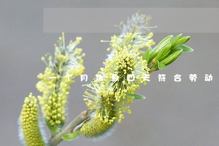 一个月休息四天符合劳动法吗 一个月休息四天符合劳动法吗