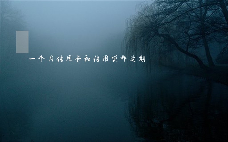 一个月信用卡和信用贷都逾期