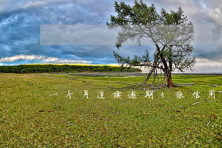 一个月连续逾期3张信用卡 一个月连续逾期3张信用卡