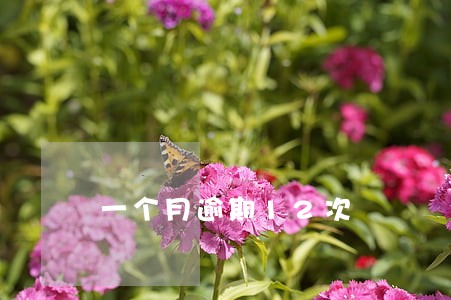 一个月逾期12次 一个月逾期12次