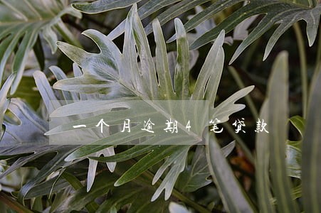 一个月逾期4笔贷款 一个月逾期4笔贷款