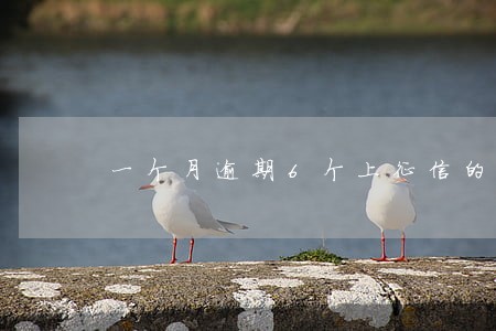 一个月逾期6个上征信的 一个月逾期6个上征信的