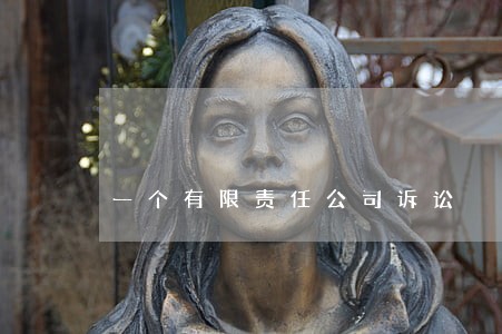 一个有限责任公司诉讼
