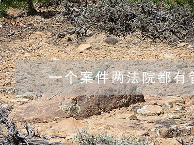 一个案件两法院都有管辖权 一个案件两法院都有管辖权