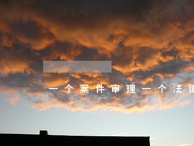 一个案件审理一个法律关系 一个案件审理一个法律关系