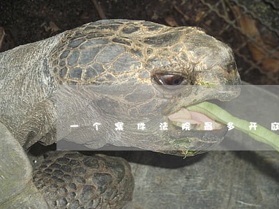 一个案件法院最多开庭几次