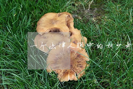 一个法律人眼中的刘少奇 一个法律人眼中的刘少奇