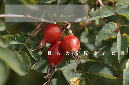 一个男人为了钱要和我离婚 一个男人为了钱要和我离婚