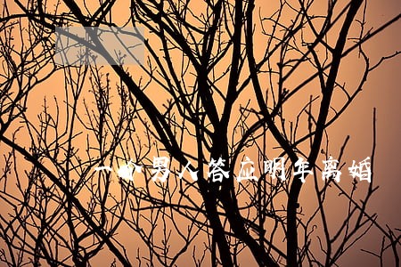 一个男人答应明年离婚 一个男人答应明年离婚