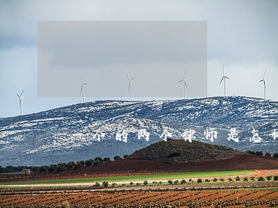 一个的两个律师是怎样 一个的两个律师是怎样