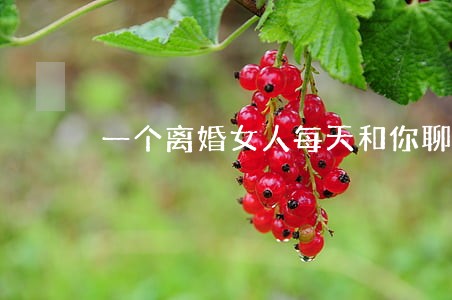 一个离婚女人每天和你聊天 一个离婚女人每天和你聊天