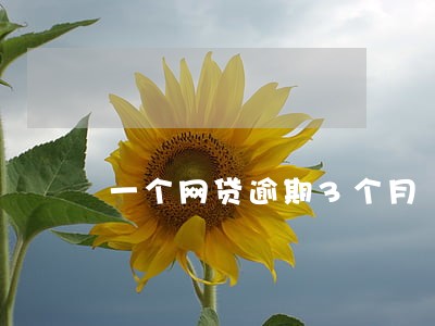 一个网贷逾期3个月 一个网贷逾期3个月