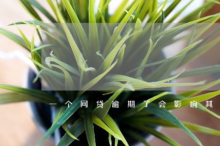 一个网贷逾期了会影响其他网贷吗 一个网贷逾期了会影响其他网贷吗