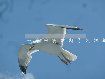 一个网贷逾期了其他都是秒拒 一个网贷逾期了其他都是秒拒