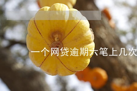 一个网贷逾期六笔上几次征信 一个网贷逾期六笔上几次征信