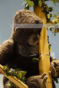 一个网贷逾期其他网贷 一个网贷逾期其他网贷