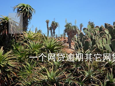 一个网贷逾期其它网贷还能用不 一个网贷逾期其它网贷还能用不