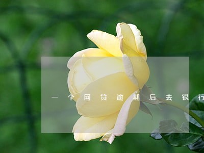 一个网贷逾期后去银行贷款 一个网贷逾期后去银行贷款