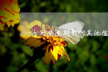 一个网贷逾期影响其他信用卡吗 一个网贷逾期影响其他信用卡吗