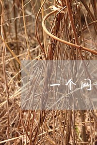一个网贷逾期的人 一个网贷逾期的人