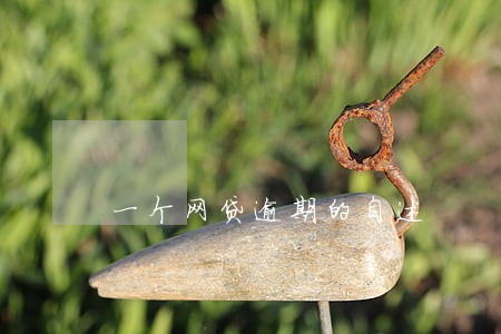 一个网贷逾期的自述 一个网贷逾期的自述