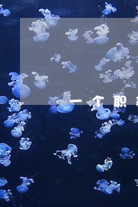 一个职美国法律上几个小时啊 一个职美国法律上几个小时啊
