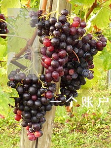 一个账户逾期1次影响大么 一个账户逾期1次影响大么