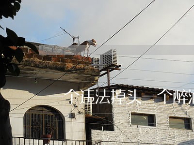一个违法掉头一个醉酒驾驶 一个违法掉头一个醉酒驾驶