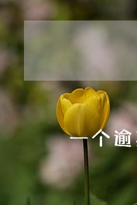 一个逾期90天和三个逾期30天 一个逾期90天和三个逾期30天