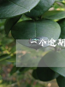 一个逾期不超过90天的 一个逾期不超过90天的