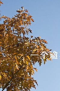 一个逾期会影响所有网贷吗 一个逾期会影响所有网贷吗