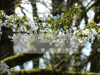 一个银行信用卡逾期会怎样 一个银行信用卡逾期会怎样