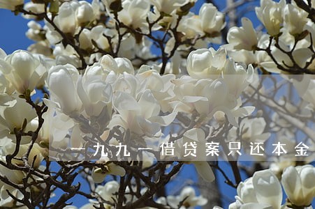 一九九一借贷案只还本金的规定 一九九一借贷案只还本金的规定