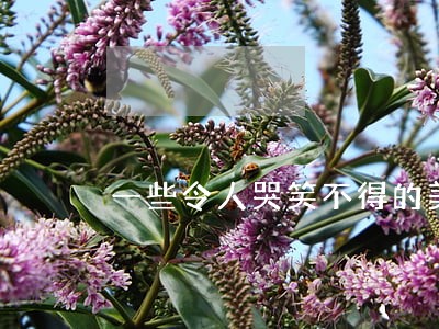 一些令人哭笑不得的美国加州法律 一些令人哭笑不得的美国加州法律