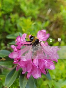一人信用卡逾期 一人信用卡逾期