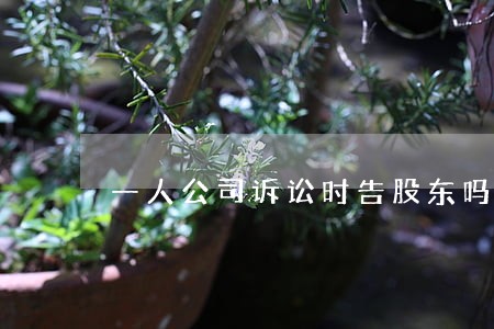 一人公司诉讼时告股东吗 一人公司诉讼时告股东吗