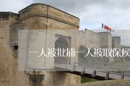一人被批捕一人被取保候审 一人被批捕一人被取保候审