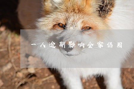 一人逾期影响全家信用 一人逾期影响全家信用