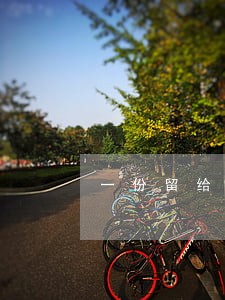 一份留给律师 一份留给律师