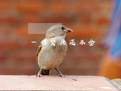 一信贷只还本金 一信贷只还本金