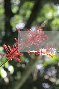 一信贷逾期1天爆通讯录 一信贷逾期1天爆通讯录