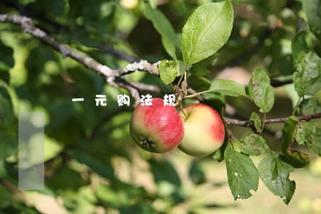 一元购法规 一元购法规