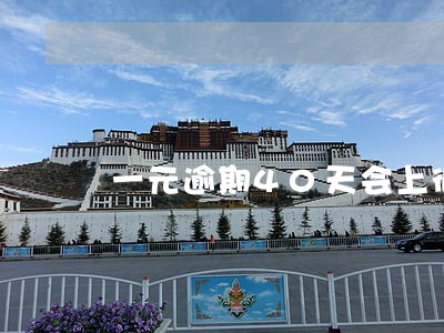 一元逾期40天会上征信吗 一元逾期40天会上征信吗