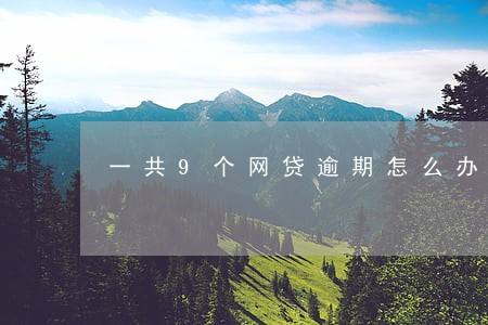 一共9个网贷逾期怎么办 一共9个网贷逾期怎么办