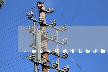 一共有3张信用卡都逾期了