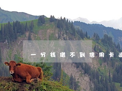 一分钱借不到信用卡逾期 一分钱借不到信用卡逾期